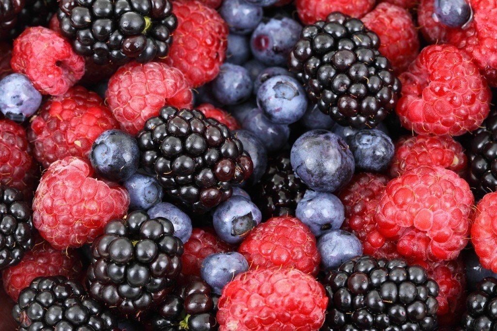 raspberries blackberries blueberries