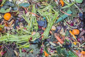 Compost pile with cut greens