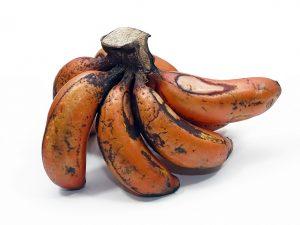 bunch of small red bananas