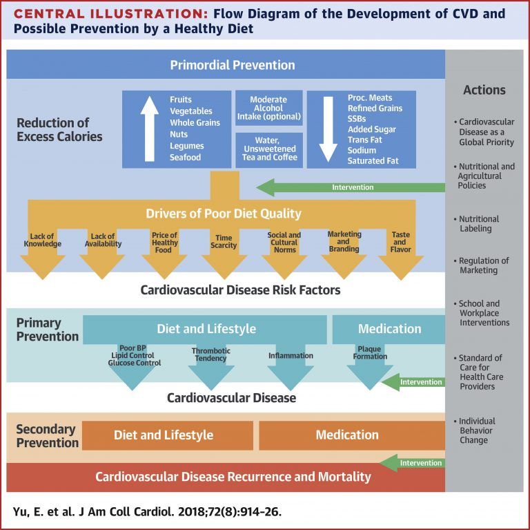 Preventing Heart Disease - The Nutrition Source