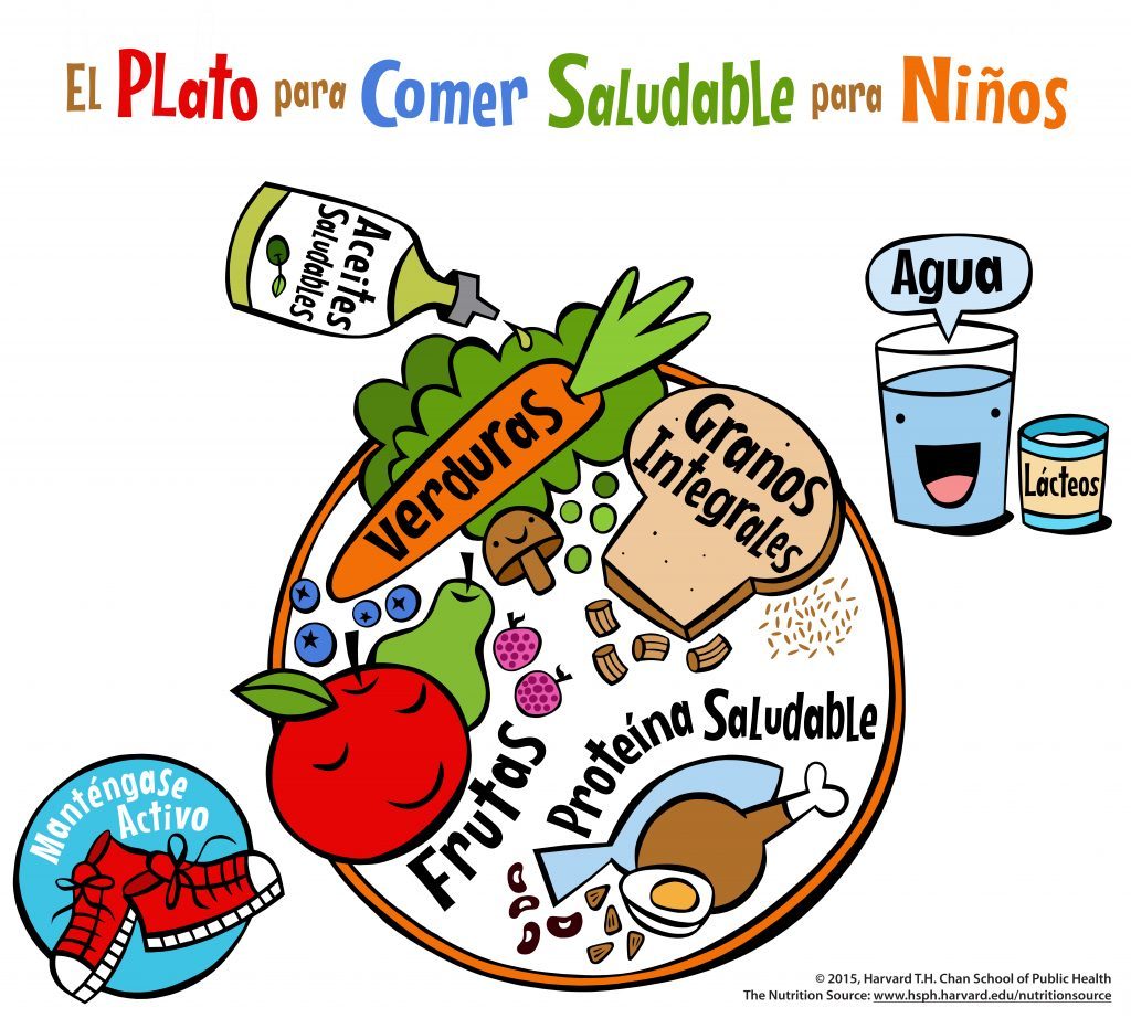 El Plato Para Comer Saludable Para Niños The Nutrition Source 3366