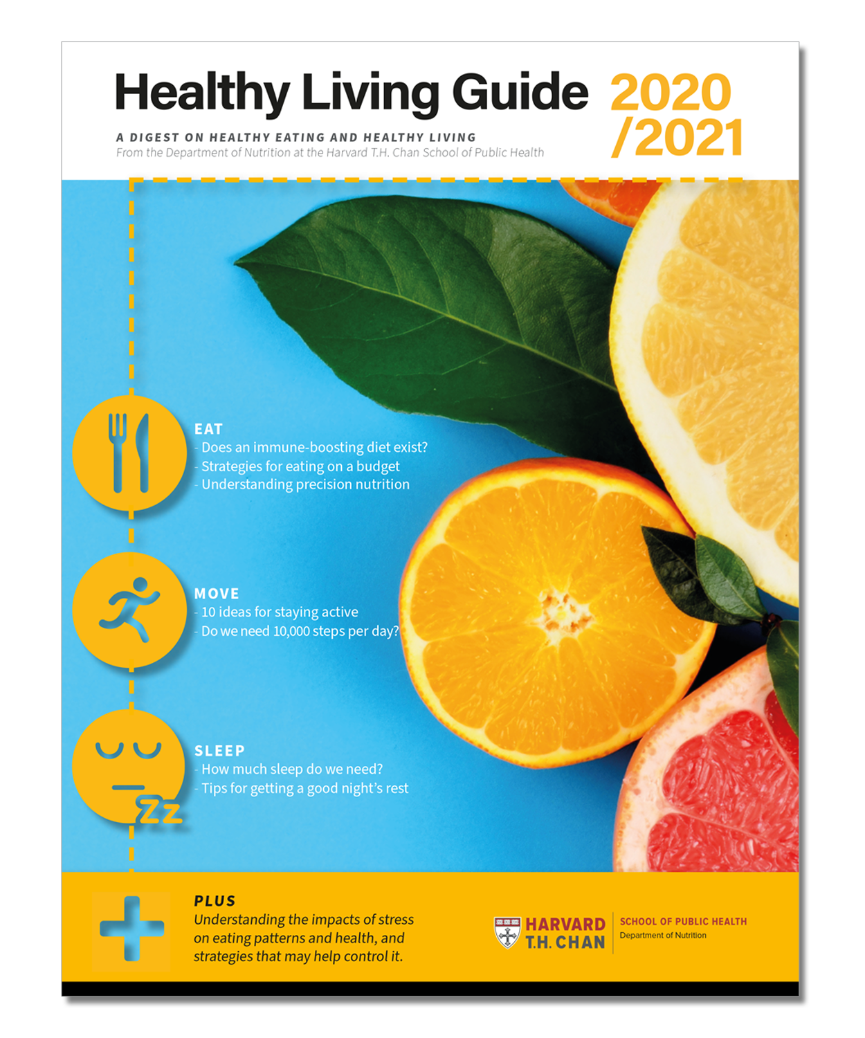 Cover image of the Healthy Living Guide downloadable PDF 