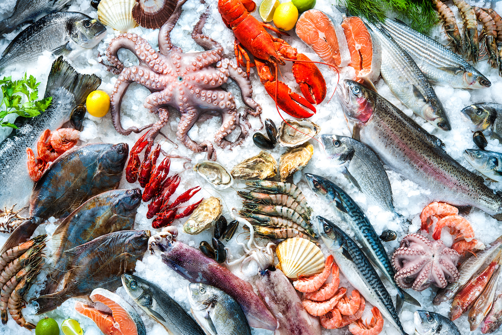 A variety of aquatic foods chilling on ice including, octopus, fish, shrimp, lobsters, mussels, scallops, oysters, and more
