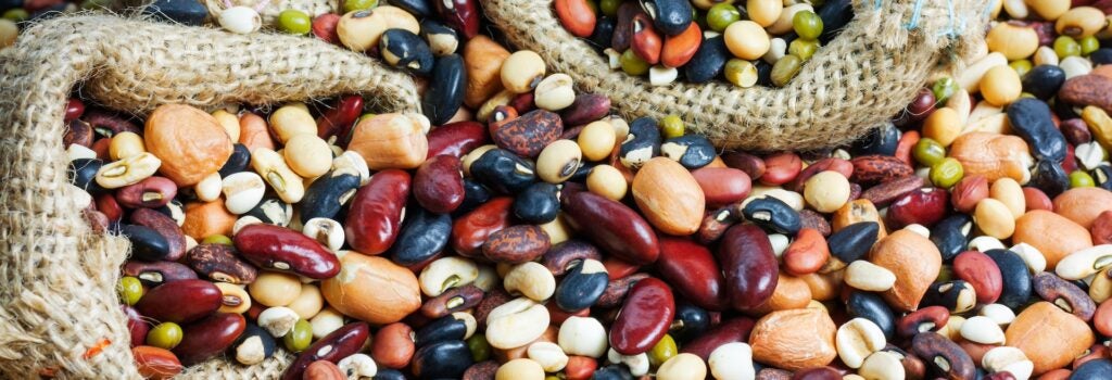 overflowing bags of colorful various beans and lentils