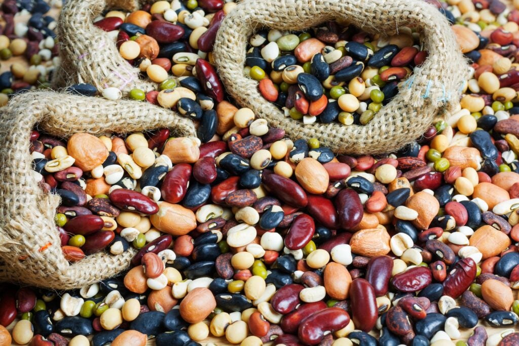 overflowing bags of colorful various beans and lentils