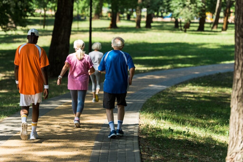 view from behind of four adults walking in park