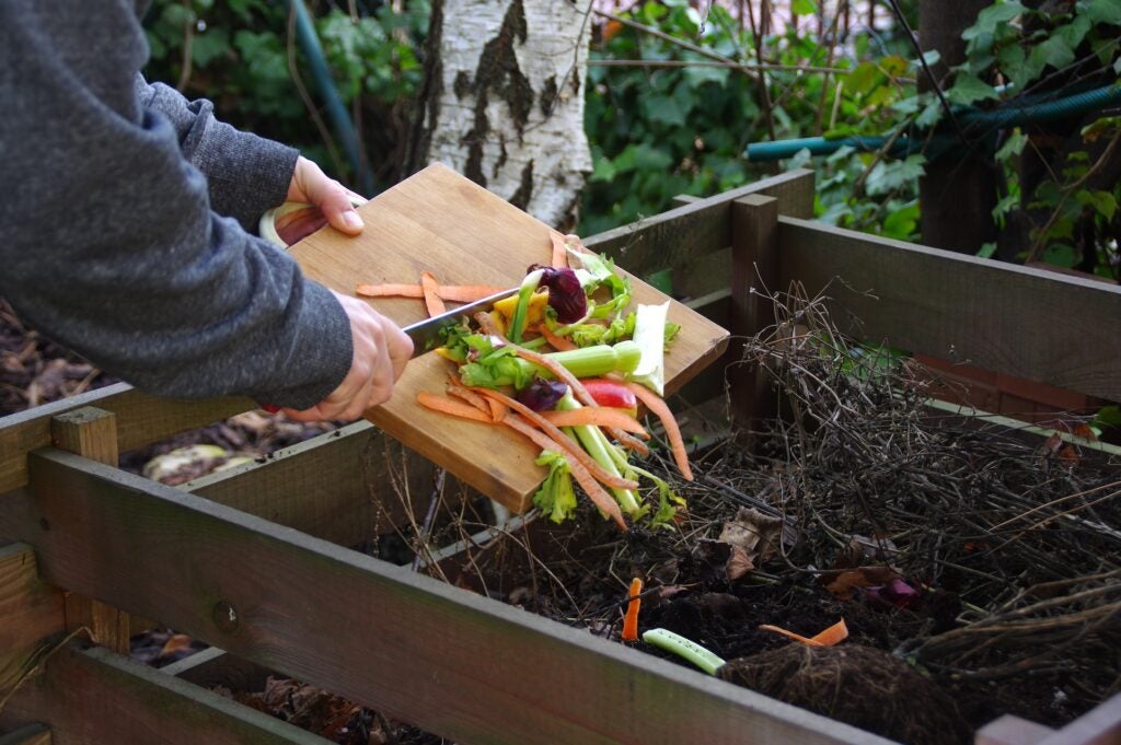 person dumping food scraps into compost bin