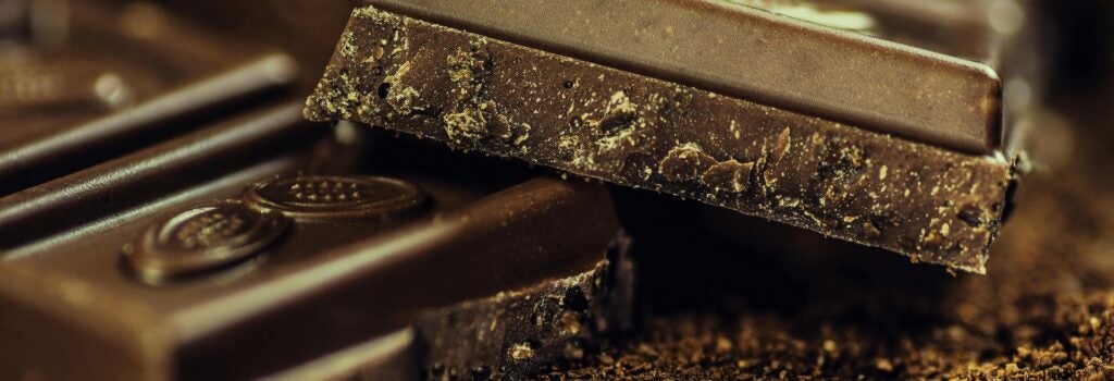 Two squares of dark chocolate resting on dark chocolate shavings