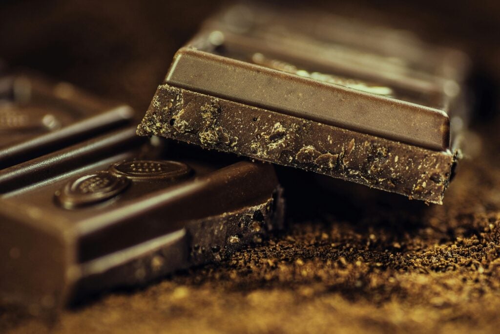 Two squares of dark chocolate resting on dark chocolate shavings