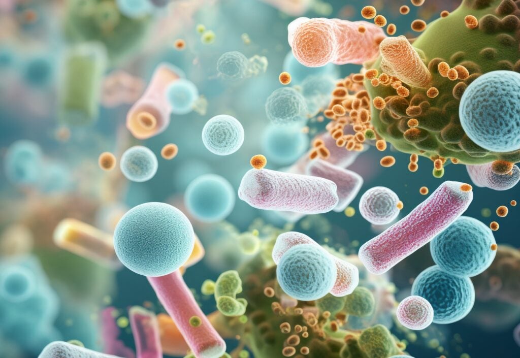 macro view of healthy gut bacteria and microbes